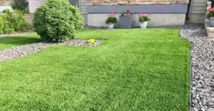 Pelouse verte bien délimitée par une bordure de pierre.